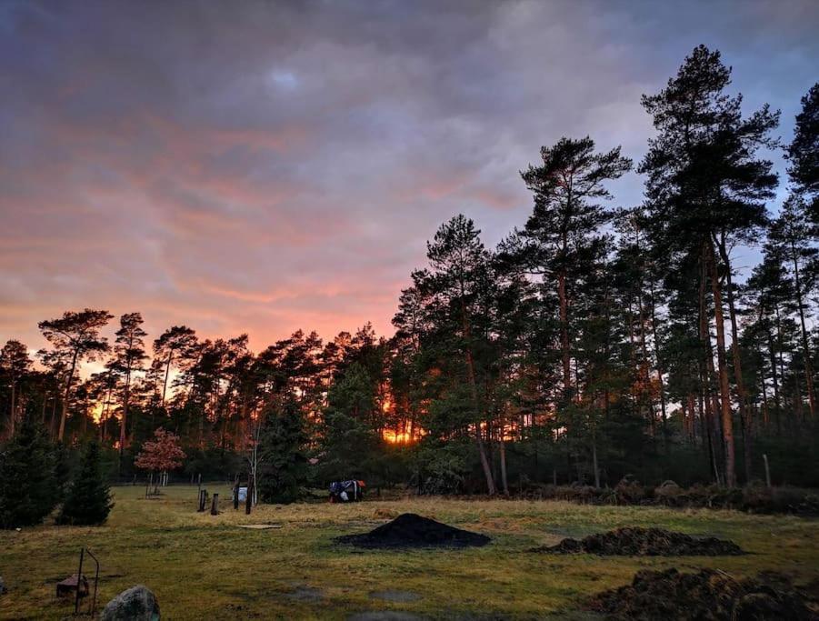 Gaestesuite Am Waldrand, Ausstieg Auf Zeit Heideblick ภายนอก รูปภาพ