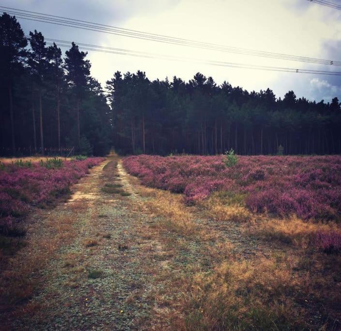 Gaestesuite Am Waldrand, Ausstieg Auf Zeit Heideblick ภายนอก รูปภาพ